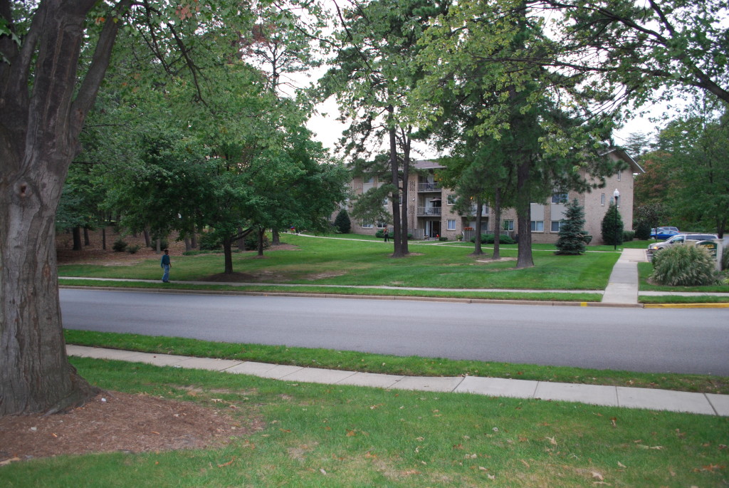 Figure 3: A tree-lined street in Anne Arundel County where BHMP families from Baltimore City were relocated.